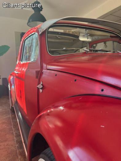 Clips für Verkleidungsplatte  (48 Stück) Clips für Verkleidungsplatte  (48 Stück)