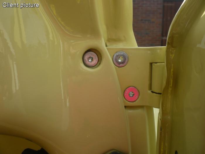 Sechskant-Scharnierbolzen (12 Stück)