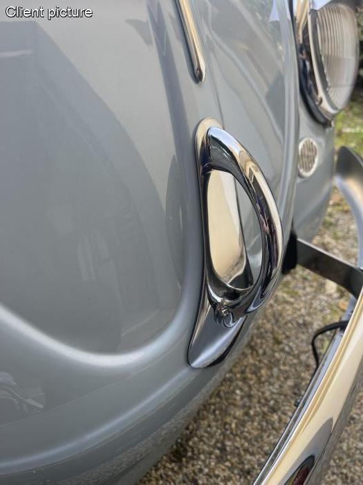 Haubengriffschutz aus poliertem Edelstahl