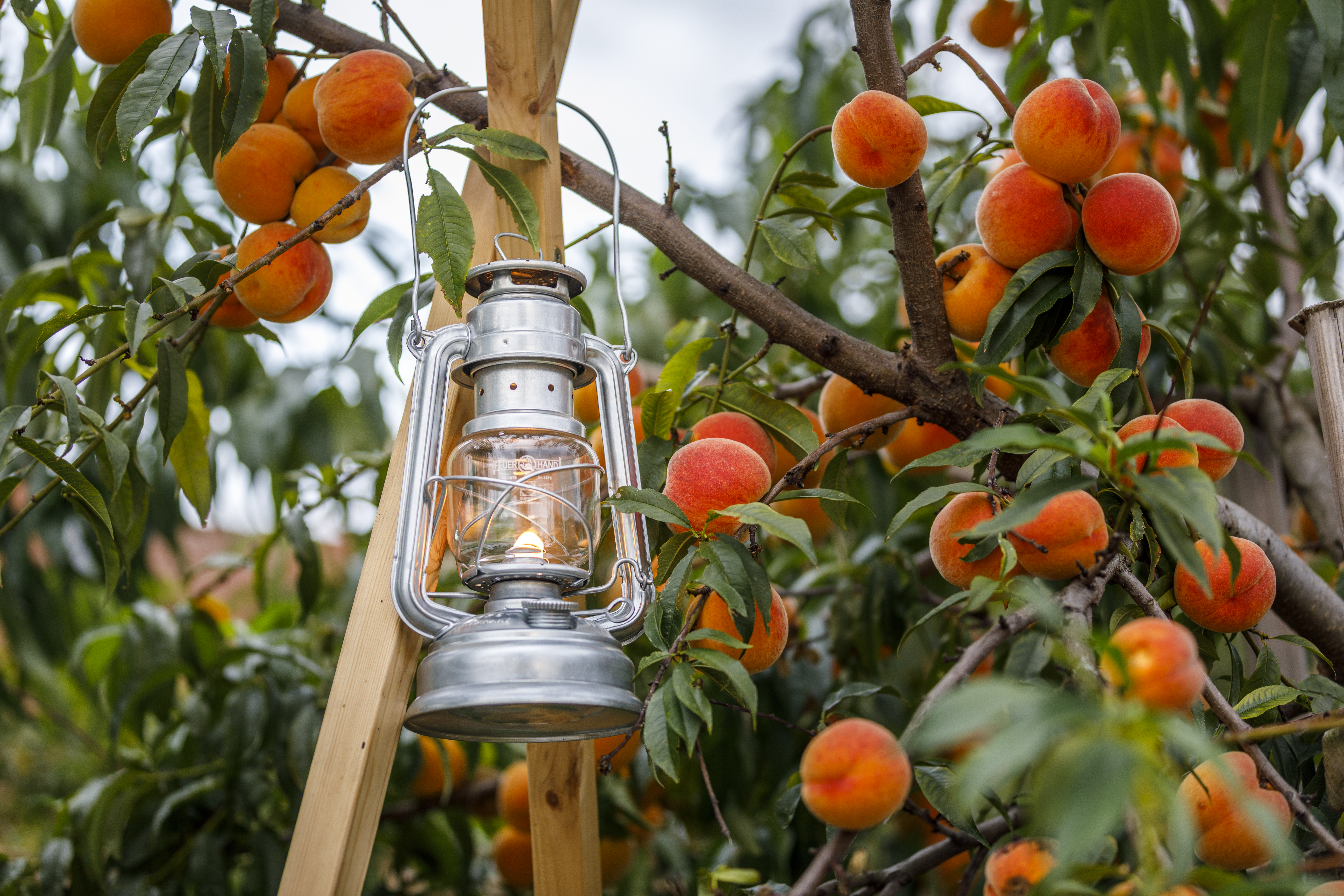 Baby Special 276 - Feuerverzinkt