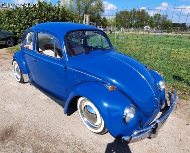 Rechter vorderer Kotflügel