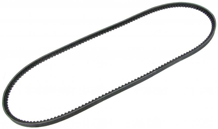 Gezahnter Wasserpumpen-Keilriemen 10 x 913 mm für Diesel