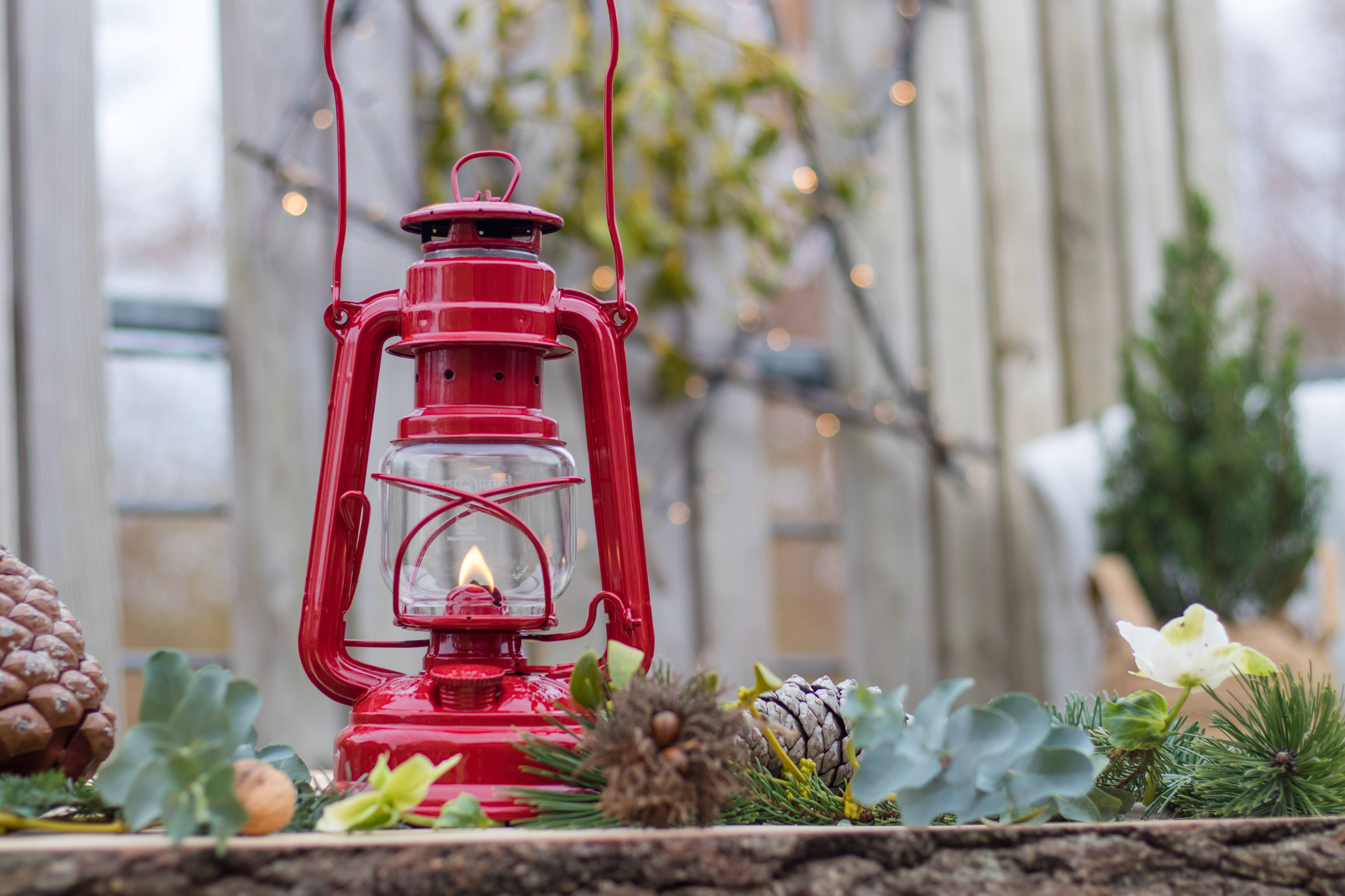 Baby Special 276 - Ruby Red