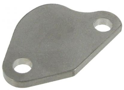 Kraftstoffpumpen-Verschlussplatte Edelstahl für Type 4 Motoren