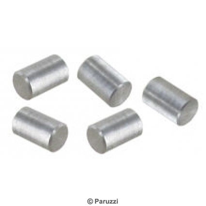 Lagerschalenzapfen (5 Stück)