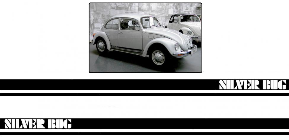 Striping Satz SILVER BUG für VW Käfer ab 1981